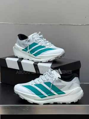 Chaussure Adidas Terrex Blanc-Vert Disponible