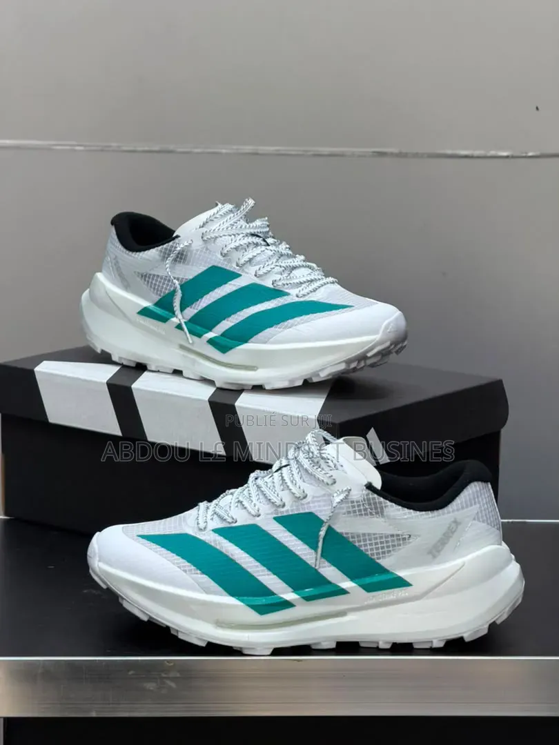Chaussure Adidas Terrex Blanc-Vert Disponible