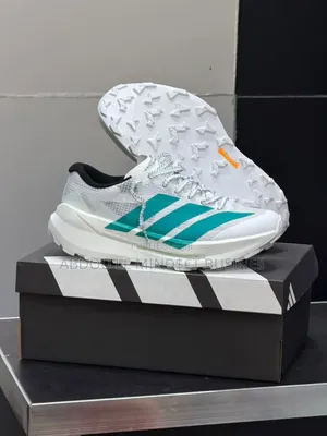 Chaussure Adidas Terrex Blanc-Vert Disponible